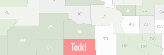 Todd County Map